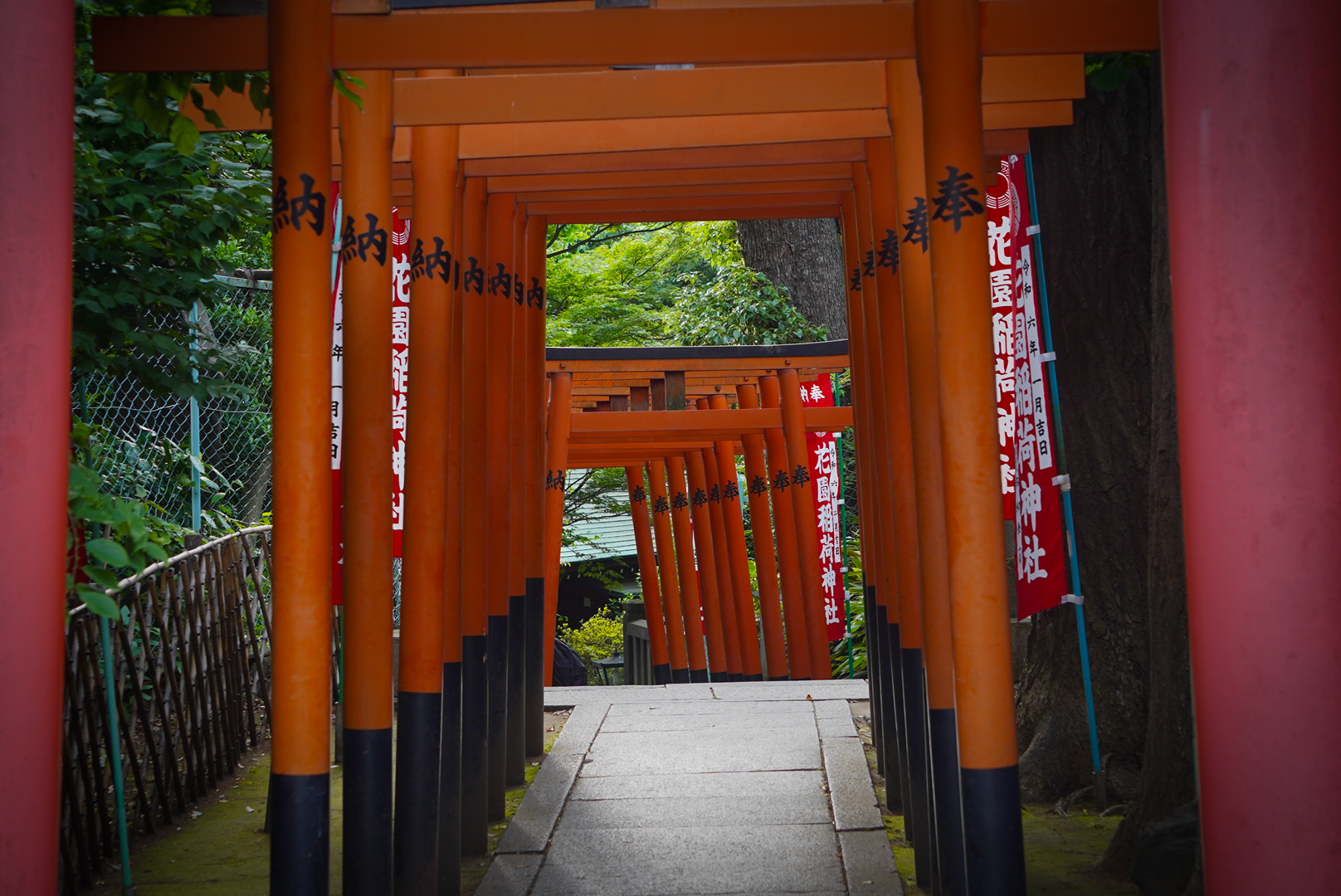 muchas puertas de tori rojas en el parque de ueno en tokio 