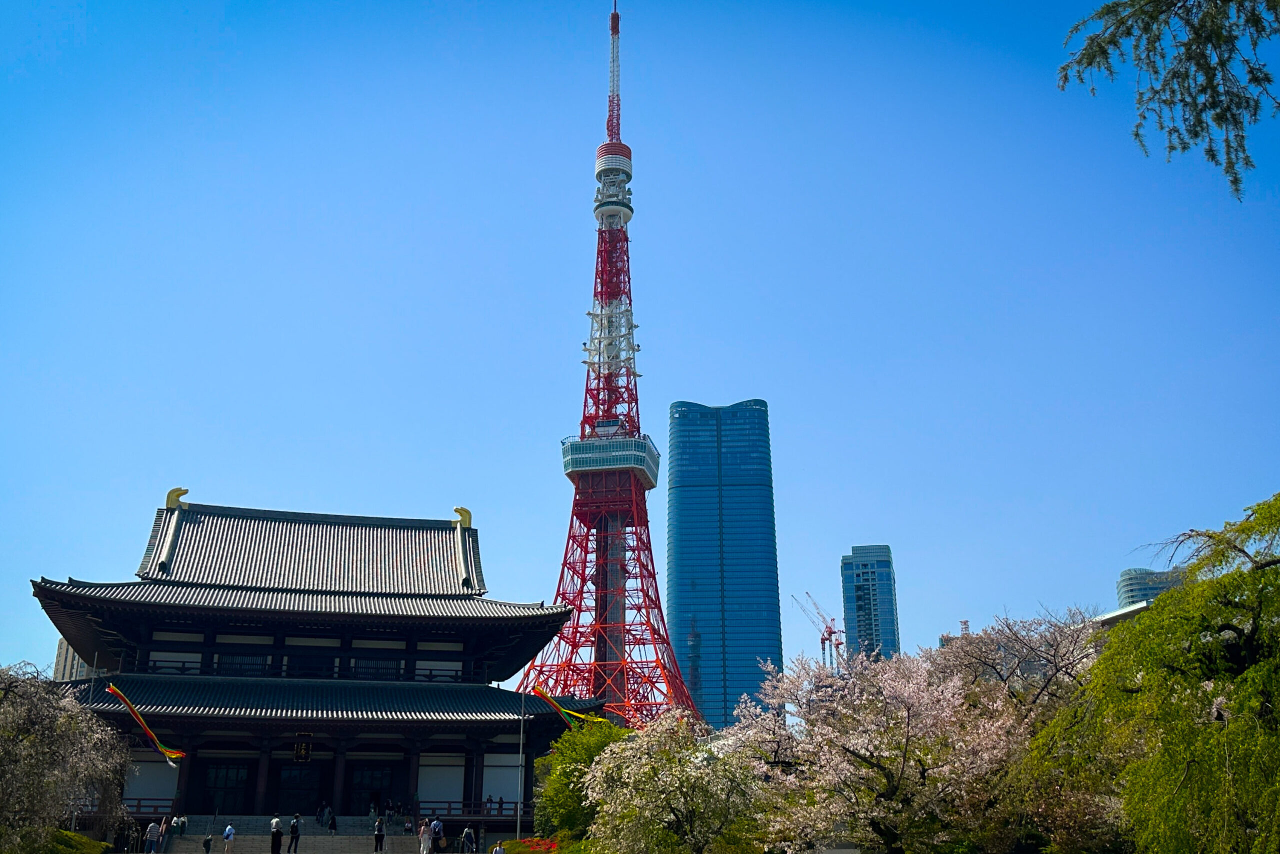 torre de tokio, templo de zojoji y edificios modernos en japon