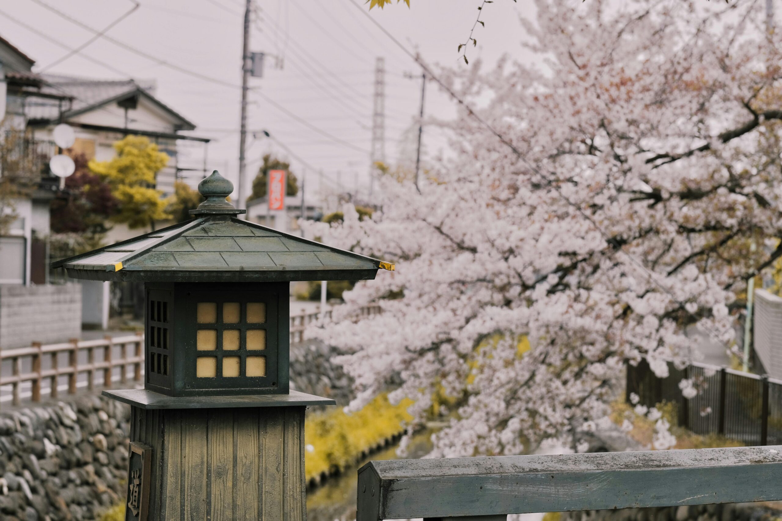 farol tradicional japones con un arbol de cerezos con flores rosas detras