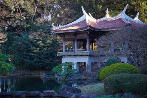 1. Lugares imperdibles de Tokio – Tour Privado de un día (8hs)