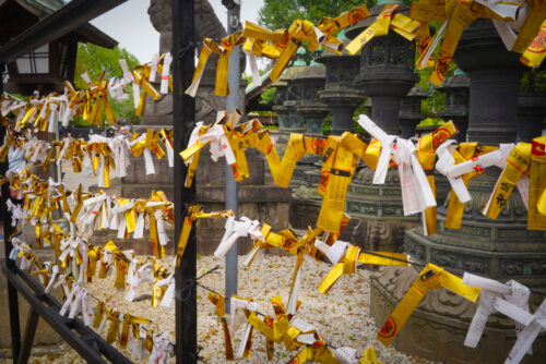 1. Lugares imperdibles de Tokio – Tour Privado de un día (8hs)