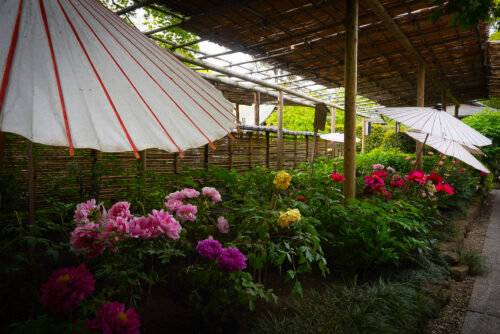 1. Lugares imperdibles de Tokio – Tour Privado de un día (8hs)