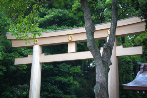 1. Lugares imperdibles de Tokio – Tour Privado de un día (8hs)