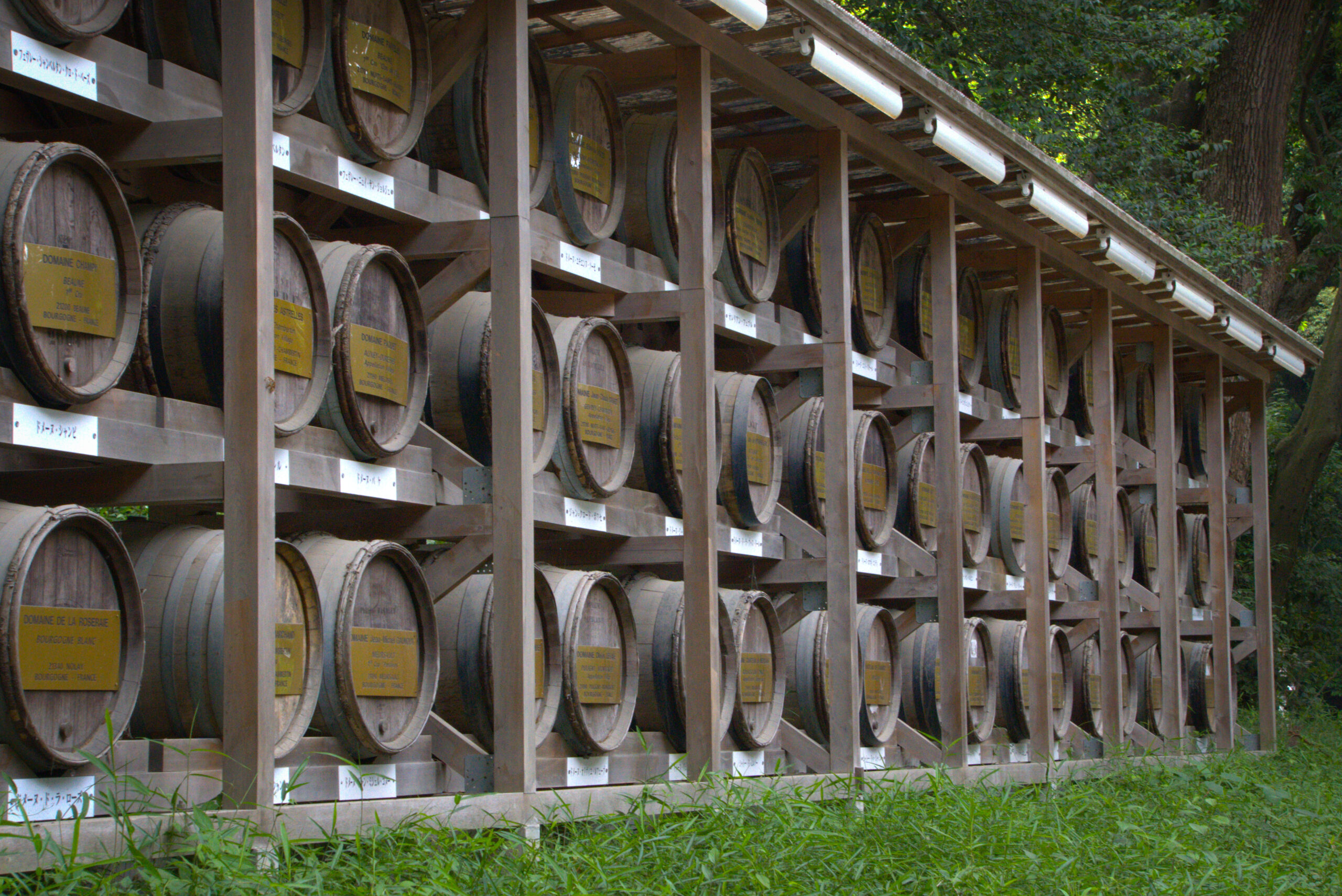Barriles decorados en el Santuario Meiji Jingu, ofrendas tradicionales en Japón