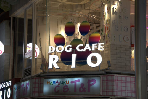 1. Lugares imperdibles de Tokio – Tour Privado de un día (8hs)