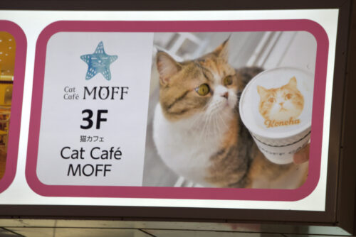 1. Lugares imperdibles de Tokio – Tour Privado de un día (8hs)