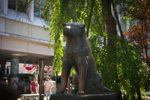 7. Tokio Moderno (4hs)