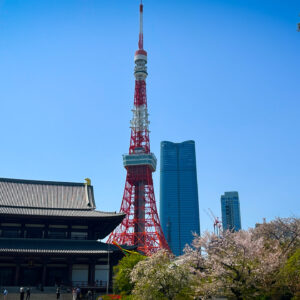 IMG_E0277 5. Contrastes – Tokio moderno + Tradicional (6hs)